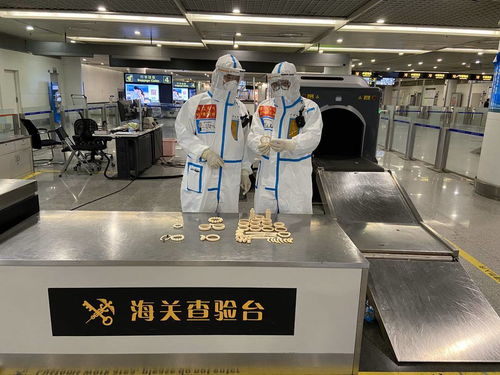 警惕！回蓉旅客攜帶象牙手鐲被成都海關(guān)查獲，教學(xué)模型制造需守法規(guī)